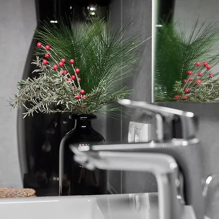 Schima Drosa - - By Pferd Auf Wolke Apartamento